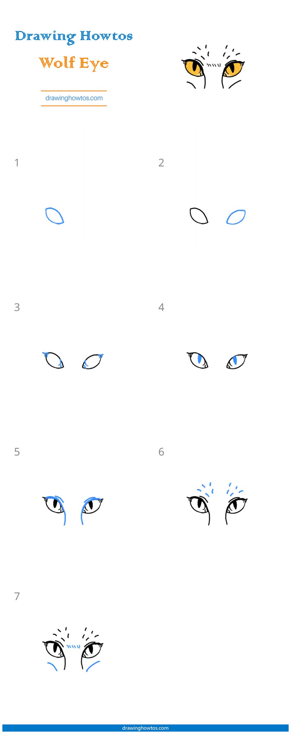 How to Draw Wolf Eyes - Step by Step Easy Drawing Guides - Drawing Howtos