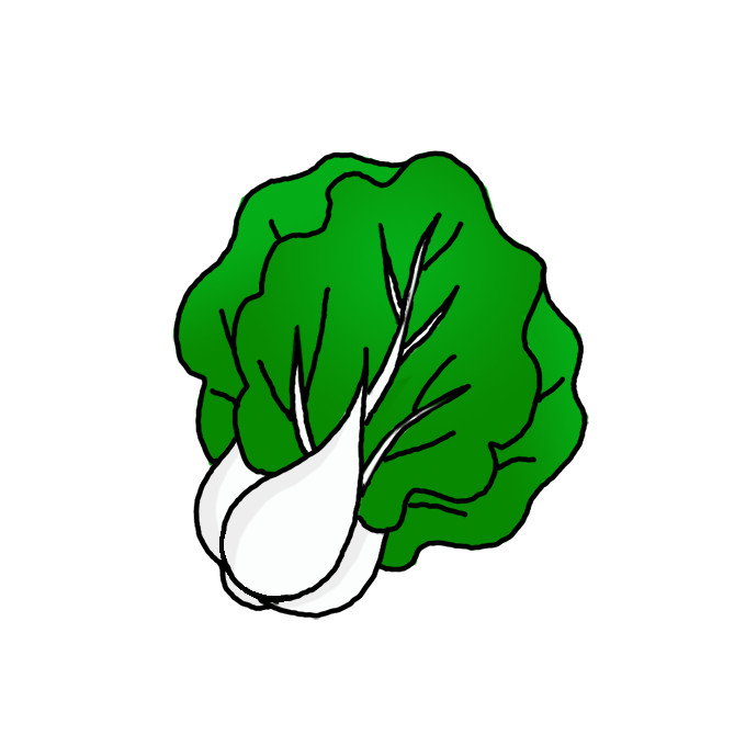 How to Draw Bok Choy Easy