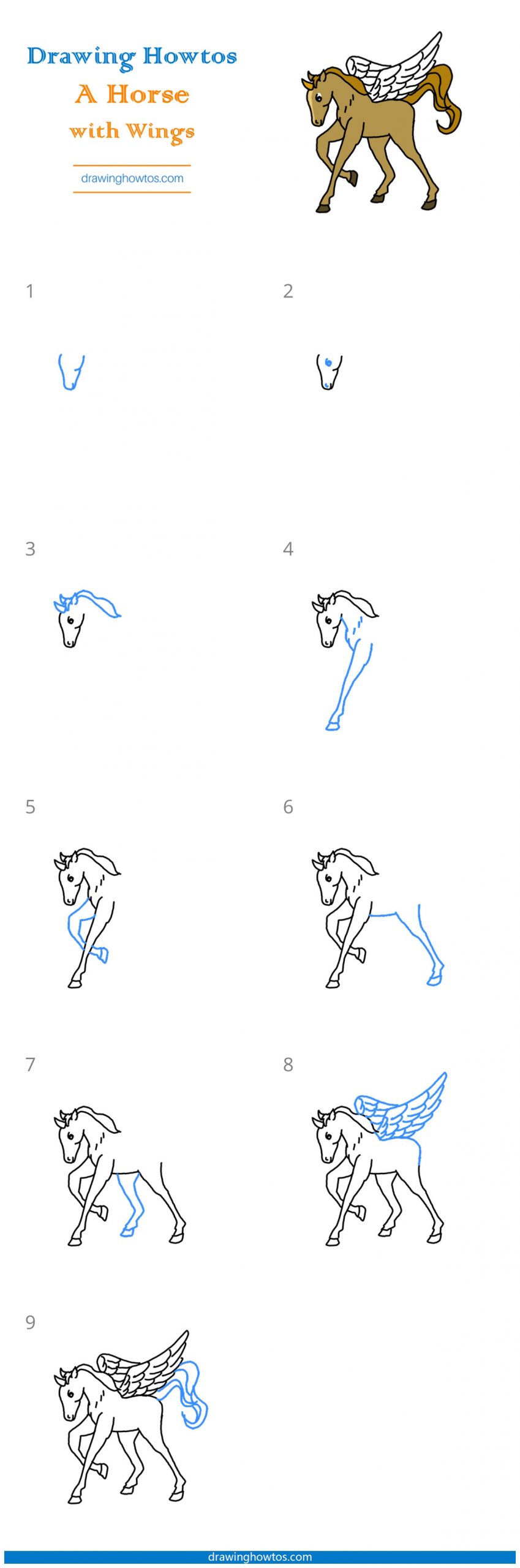 How to Draw a Horse with Wings Step by Step