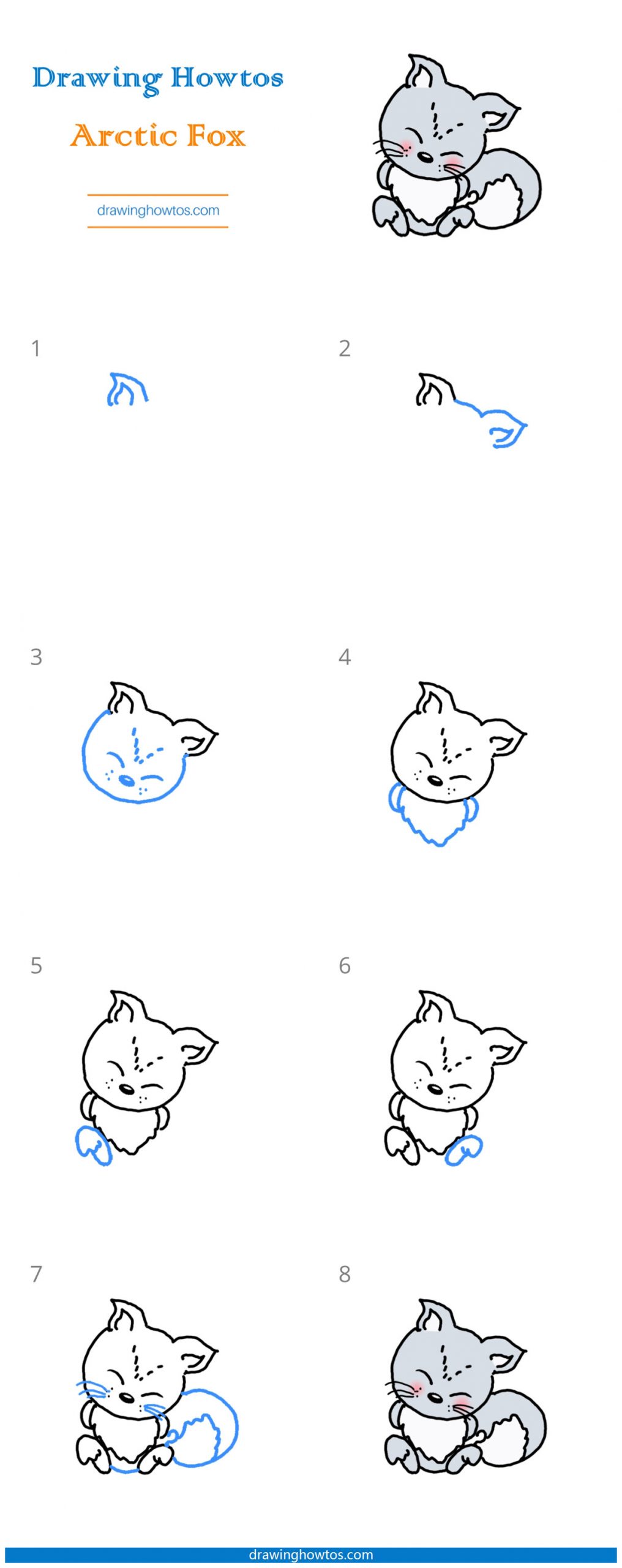 How to Draw an Arctic Fox Step by Step