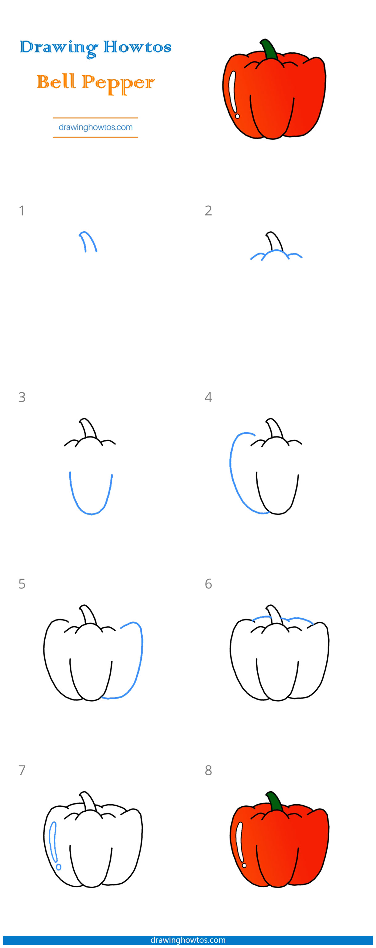 How to Draw a Bell Pepper Step by Step Easy Drawing Guides Drawing