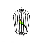 How to Draw a Bird Cage