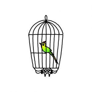 How to Draw a Bird Cage Easy
