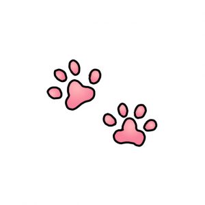 How to Draw Cat Paws Easy
