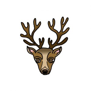 How to Draw a Deer Face