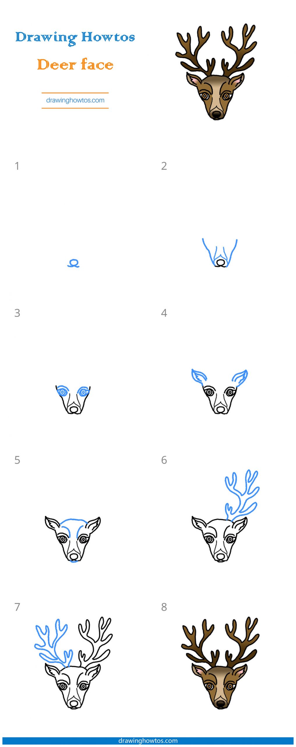 How to Draw a Deer Face Step by Step
