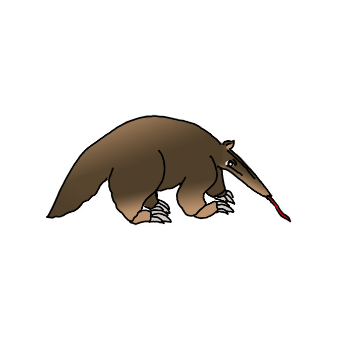 How to Draw a Giant Anteater Easy