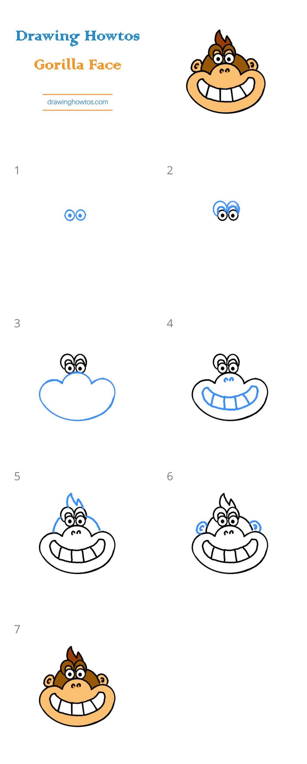 How to Draw a Gorilla Face Step by Step