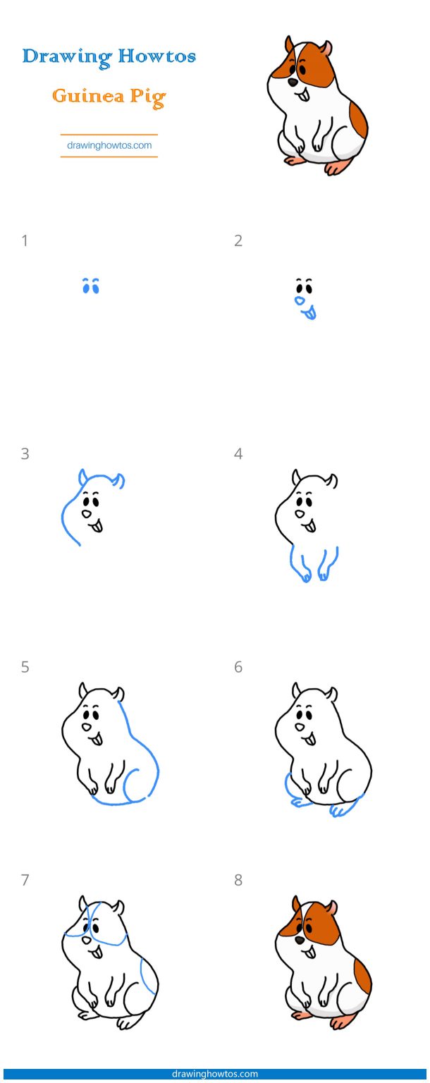 How to Draw Guinea Pig - Step by Step Easy Drawing Guides - Drawing Howtos