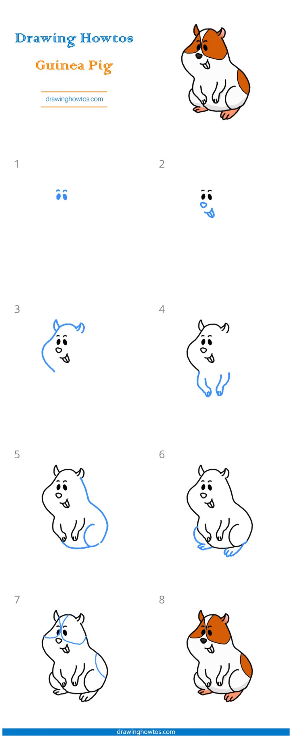 How to Draw a Guinea Pig Step by Step