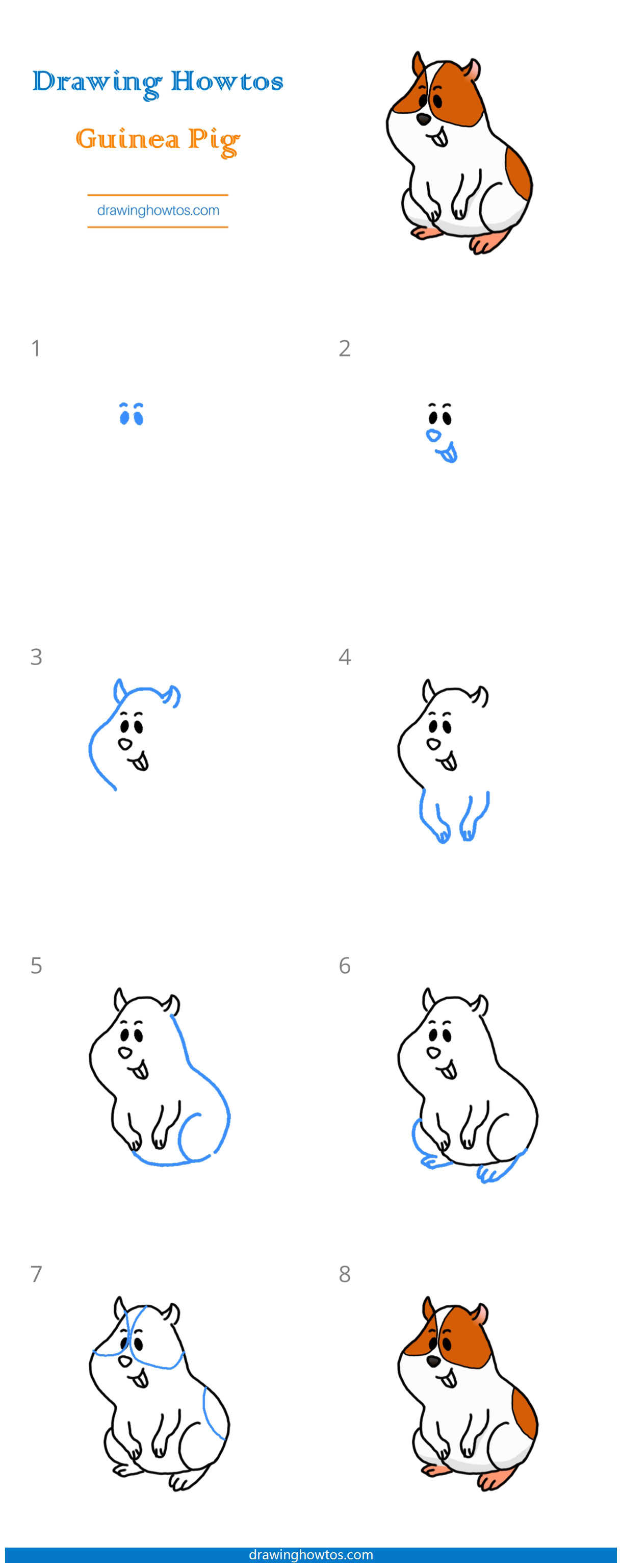 How to Draw a Guinea Pig - Step by Step Easy Drawing Guides - Drawing