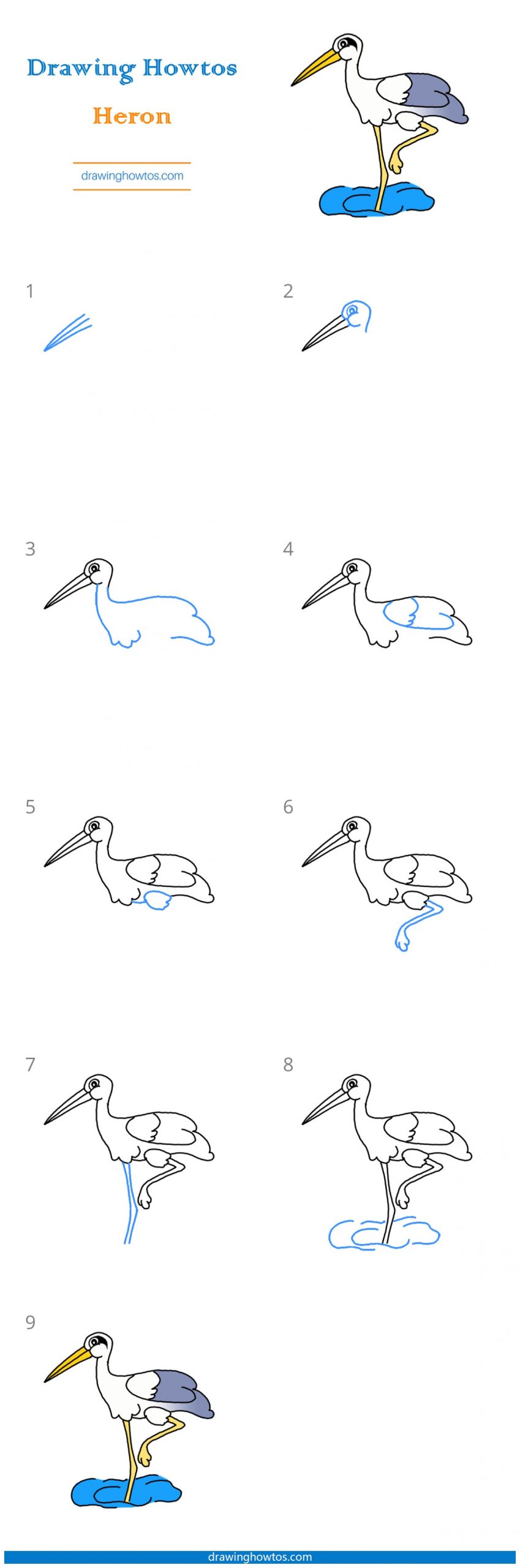 How to Draw a Heron Step by Step
