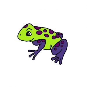 How to Draw a Poison Dart Frog Easy
