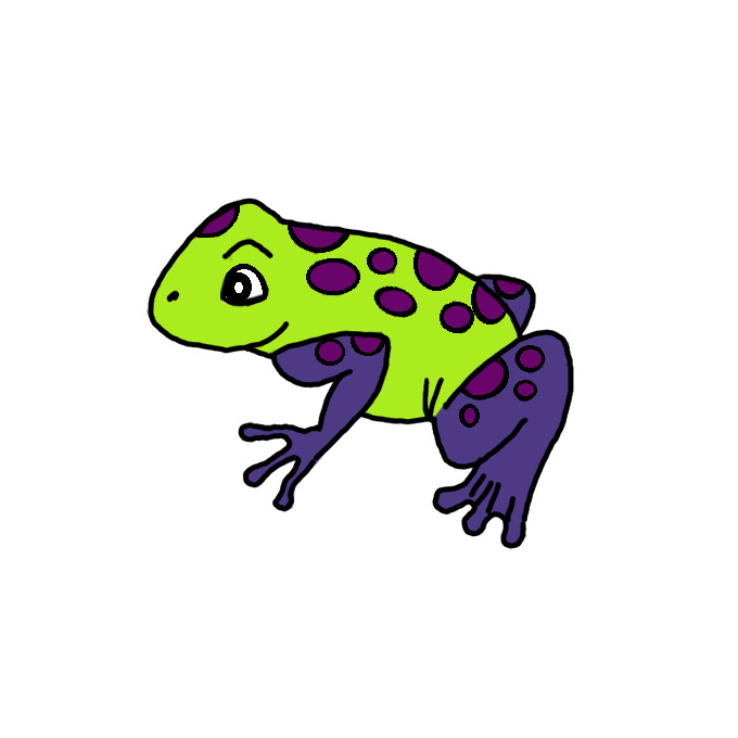 How to Draw a Poison Dart Frog Easy
