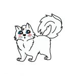 How to Draw a Ragdoll Cat