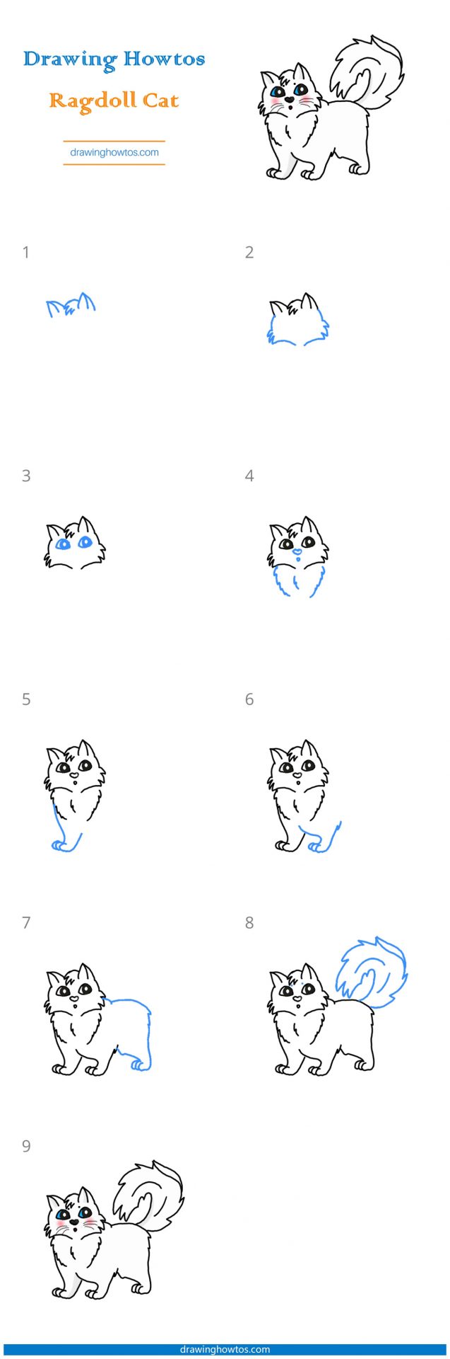 How to Draw a Ragdoll Cat Step by Step