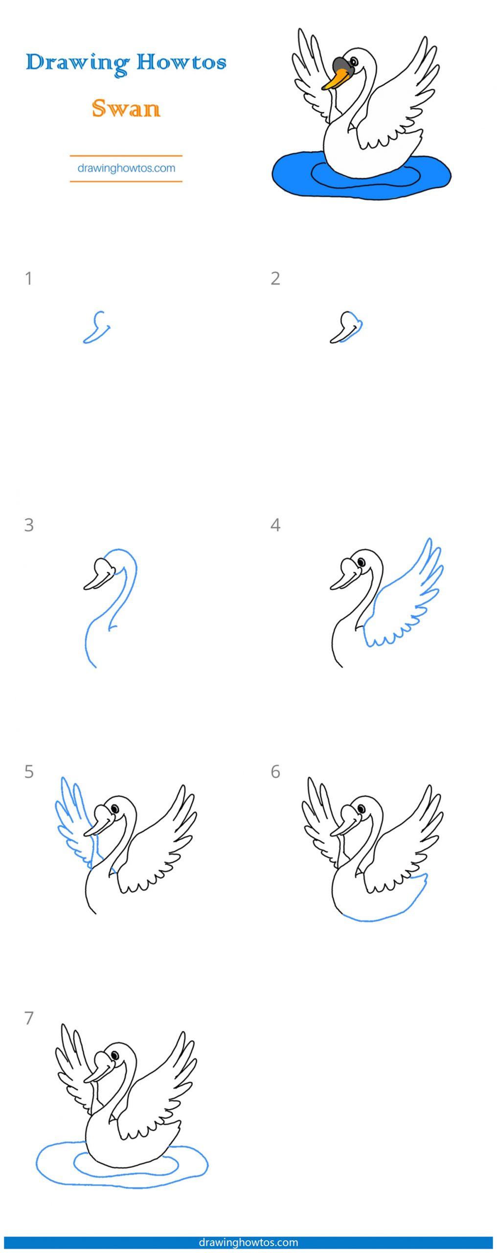 How to Draw a Swan Step by Step