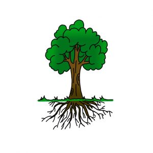 How to Draw a Tree with Roots Easy