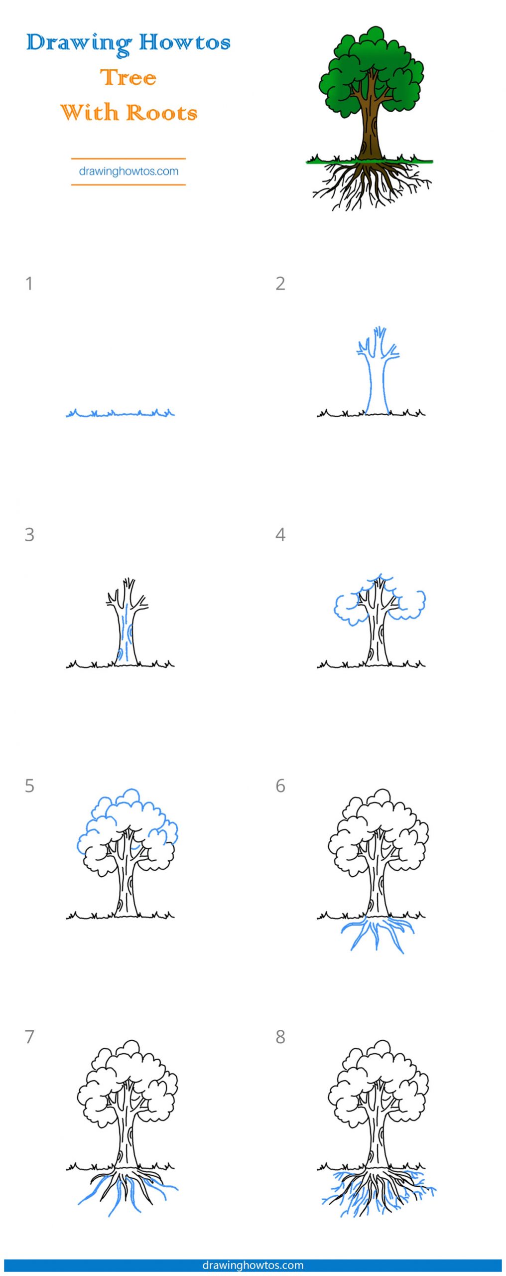 How to Draw a Tree with Roots Step by Step
