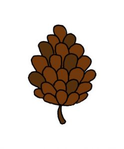 How to Draw a Pine Cone Easy