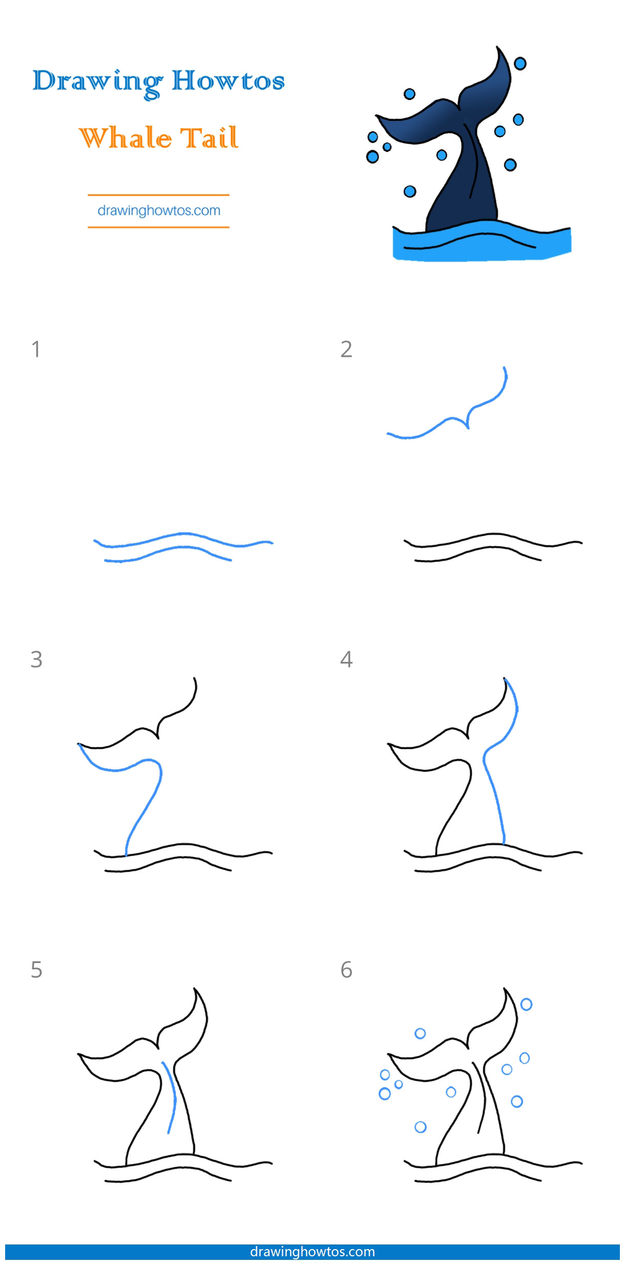 How to Draw a Whale Tail Step by Step