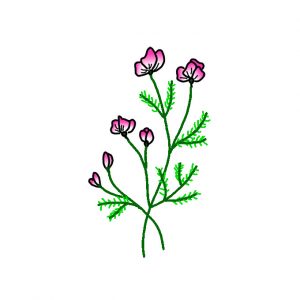 How to Draw Wildflowers Easy