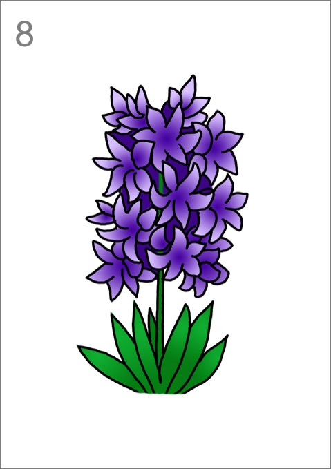 How to Draw Hyacinth Flowers - Step by Step Easy Drawing Guides - Drawing  Howtos