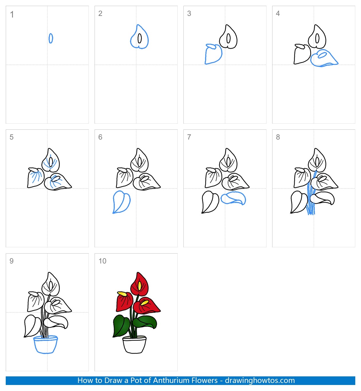 How to Draw Anthurium Step by Step