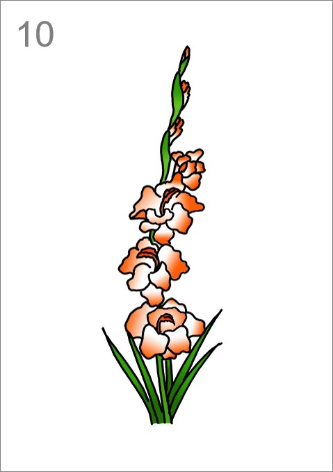 gladiolus flower drawing easy - markdestiny