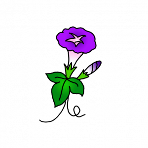 How to Draw a Morning Glory Flower Easy