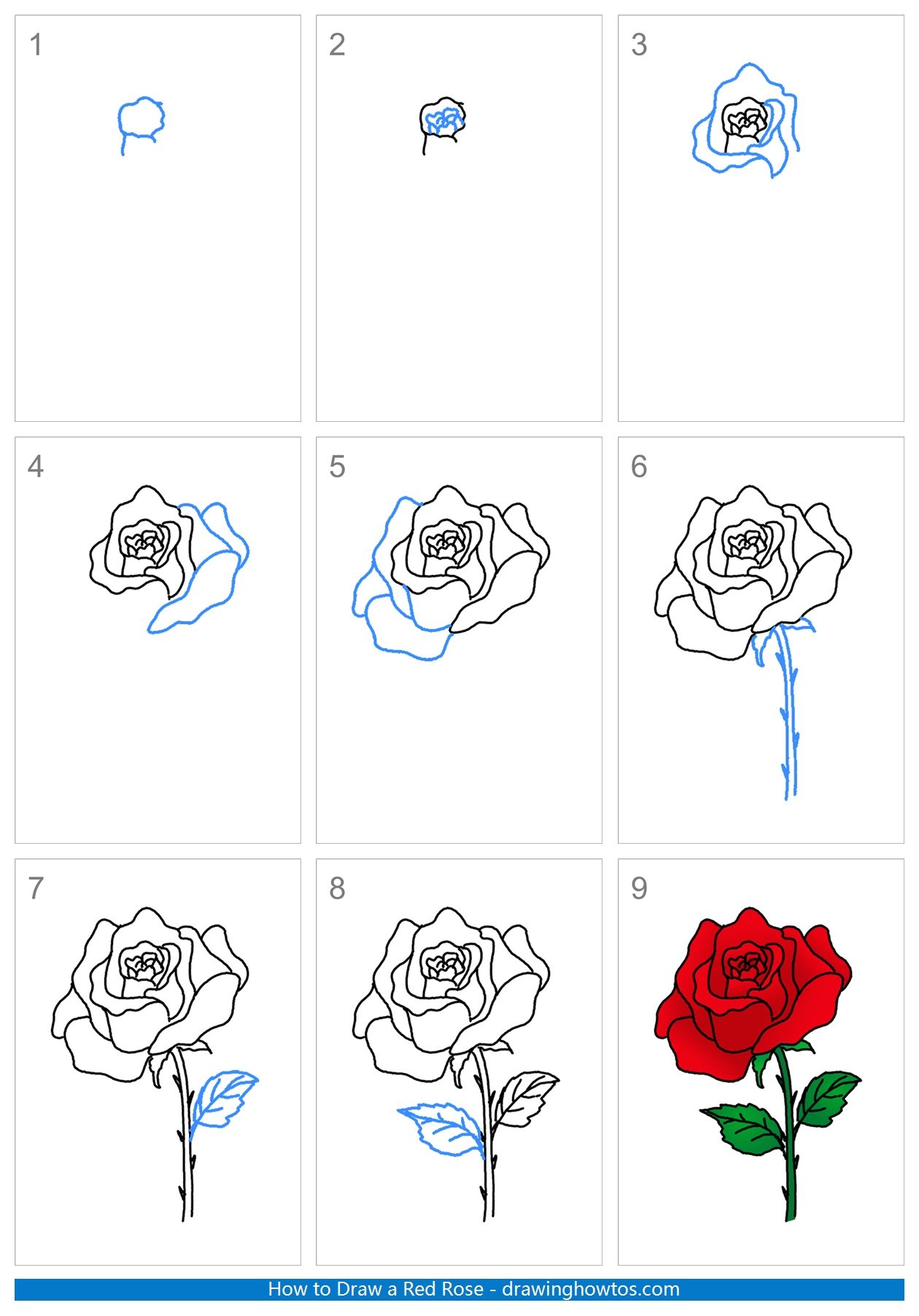 How to Draw a Red Rose Step by Step