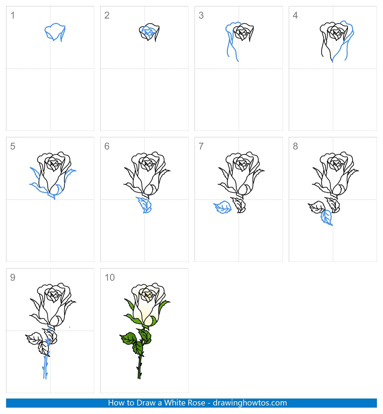 How to draw a White Rose Step by Step