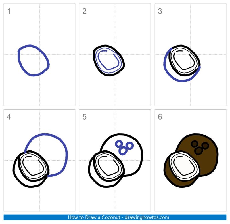 How to Draw a Coconut - Step by Step Easy Drawing Guides - Drawing Howtos