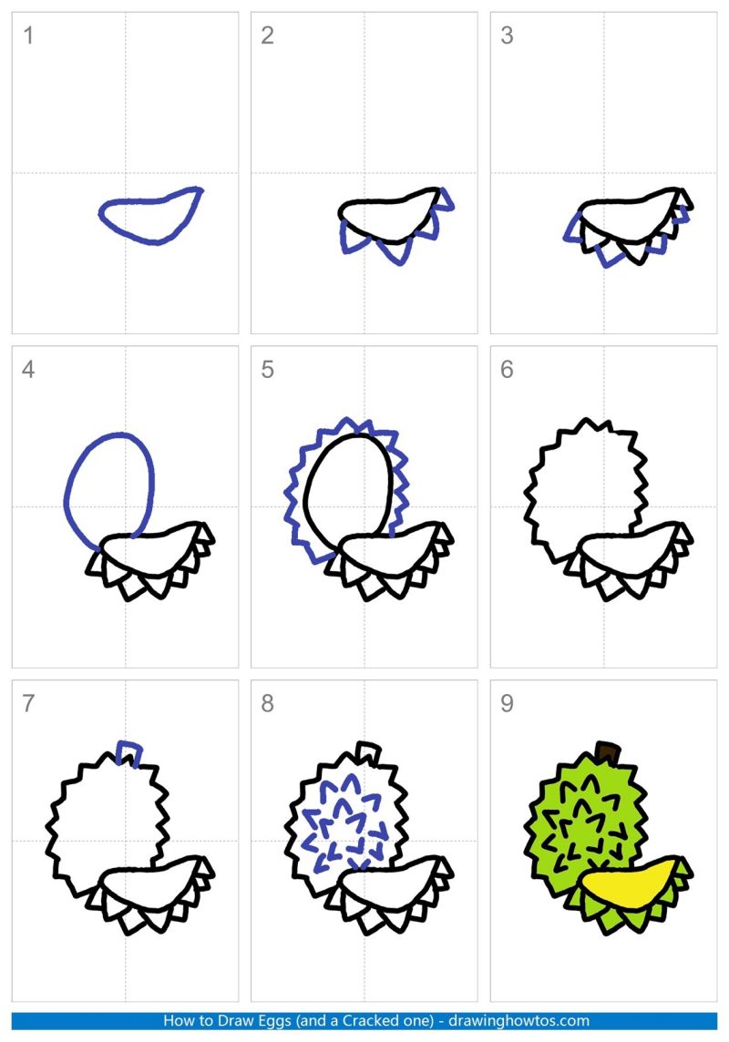 How to Draw a Durian Step by Step
