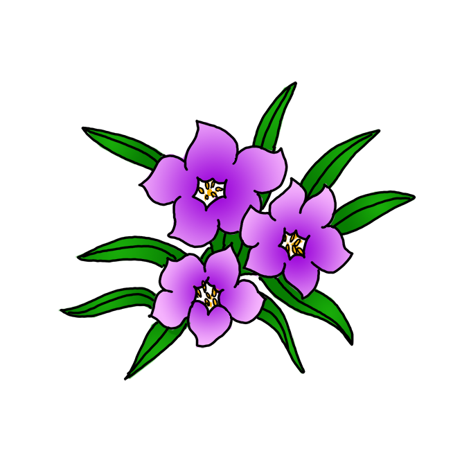 Как нарисовать фиолетовые цветы — простые пошаговые руководства порисованию — Как рисовать