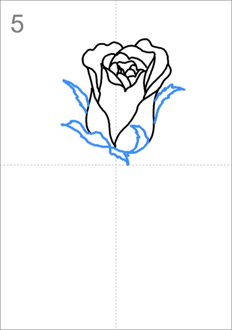 How to draw a White Rose - Step by Step Easy Drawing Guides - Drawing Howtos