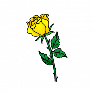 How to Draw a Yellow Rose