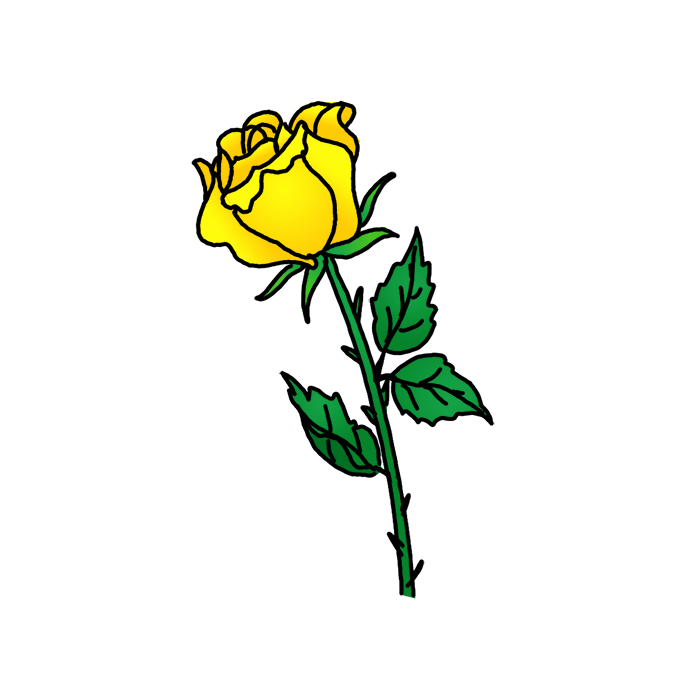 How to Draw a Yellow Rose Easy
