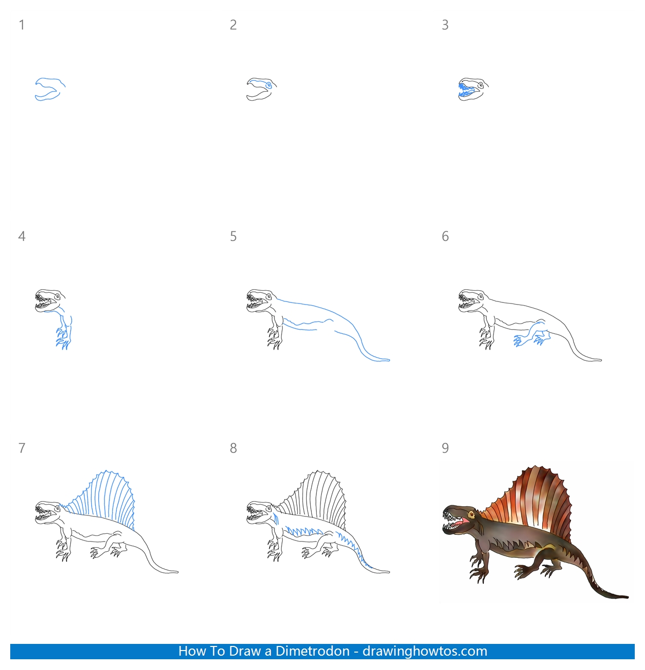 How to Draw a Dimetrodon Step by Step