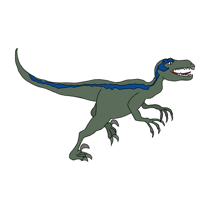 How to Draw Velociraptor Blue - Step by Step Easy Drawing Guides ...