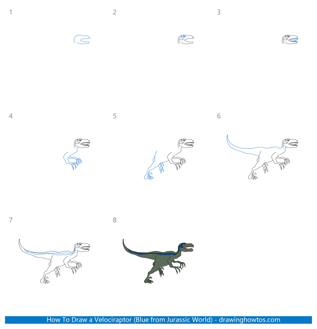 How to Draw Velociraptor Blue Step by Step