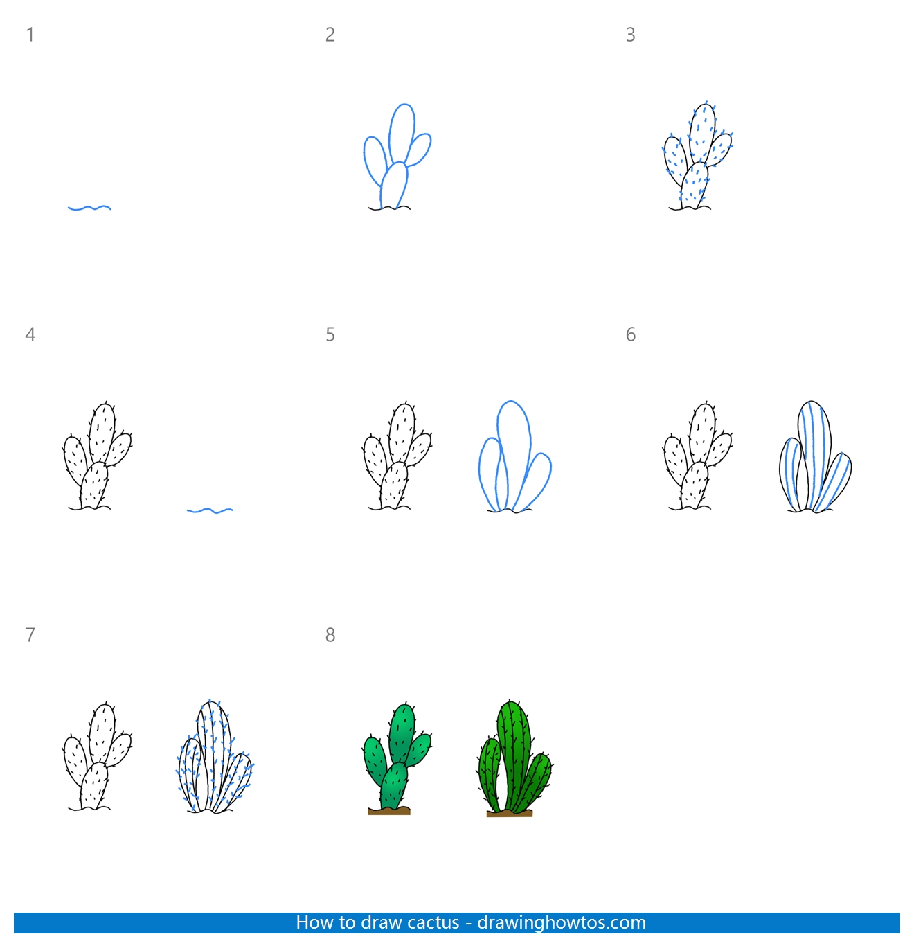 How to Draw Cactus Step by Step