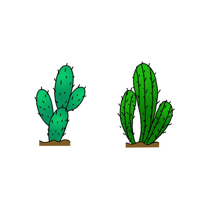 How to Draw Cactus Easy