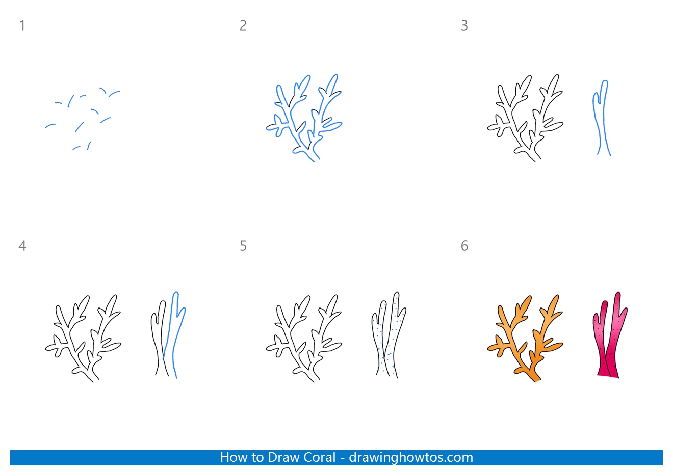 How to Draw Coral Reefs Step by Step