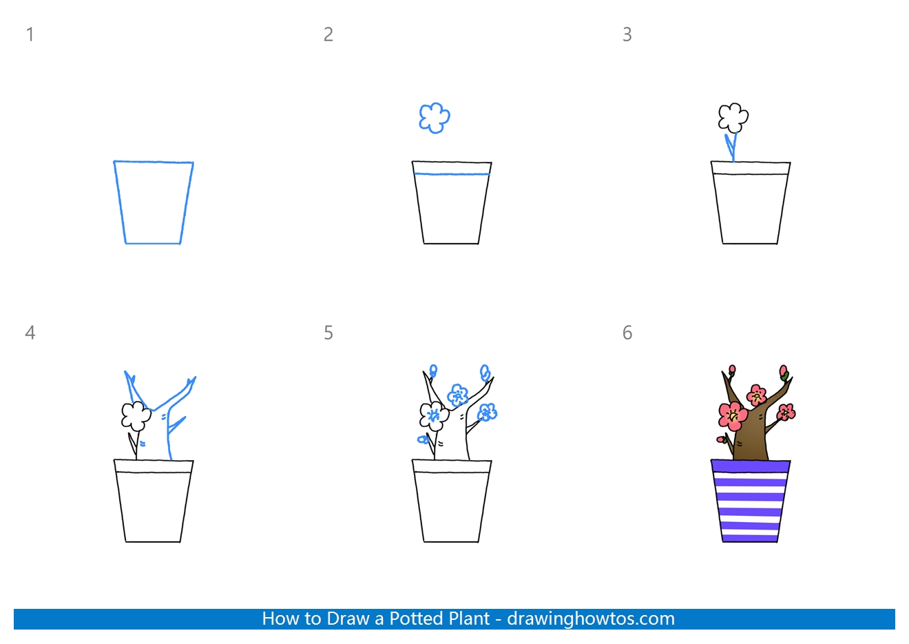 How to Draw a Potted Plant Step by Step
