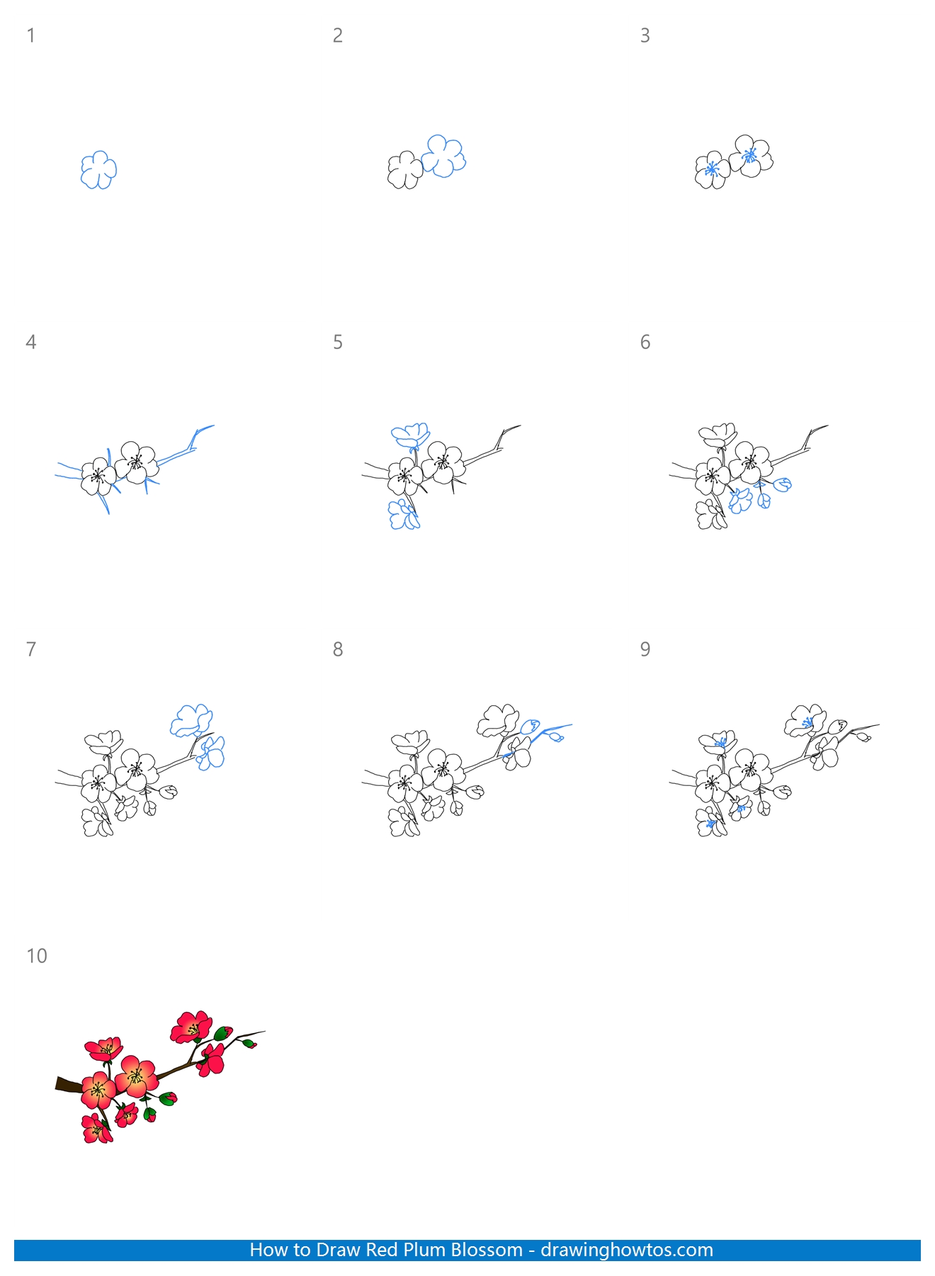How to Draw Red Plum Blossoms Step by Step