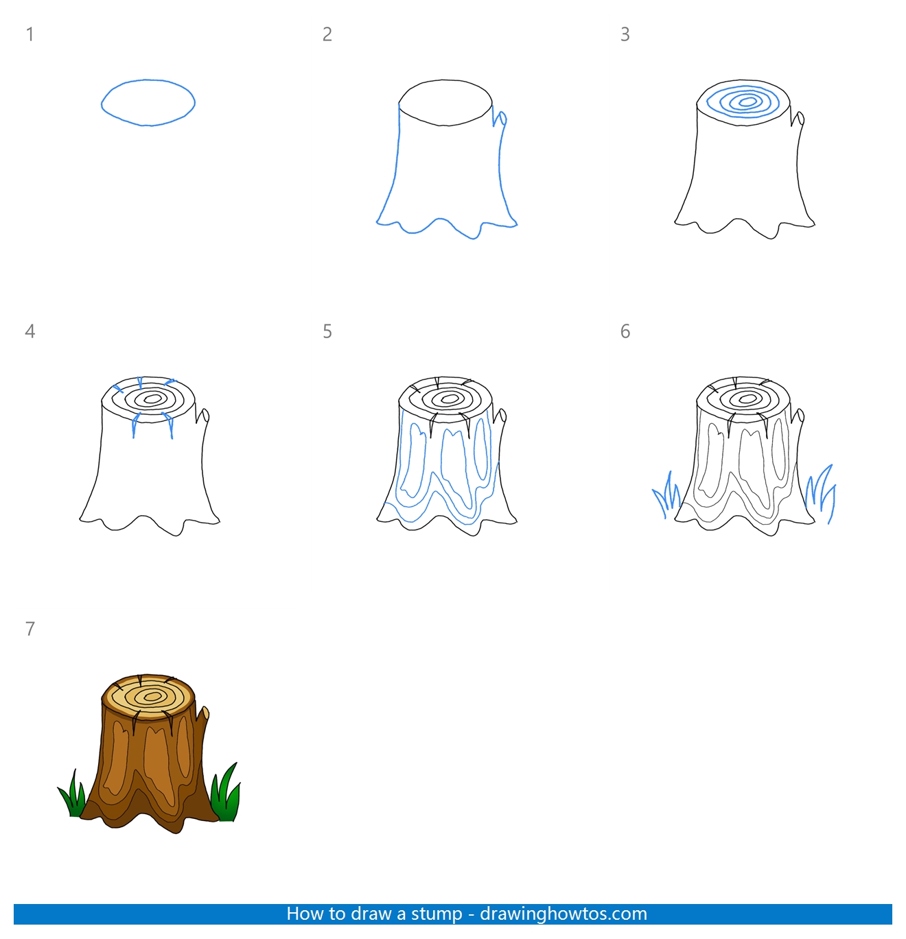 How to Draw a Stump Step by Step
