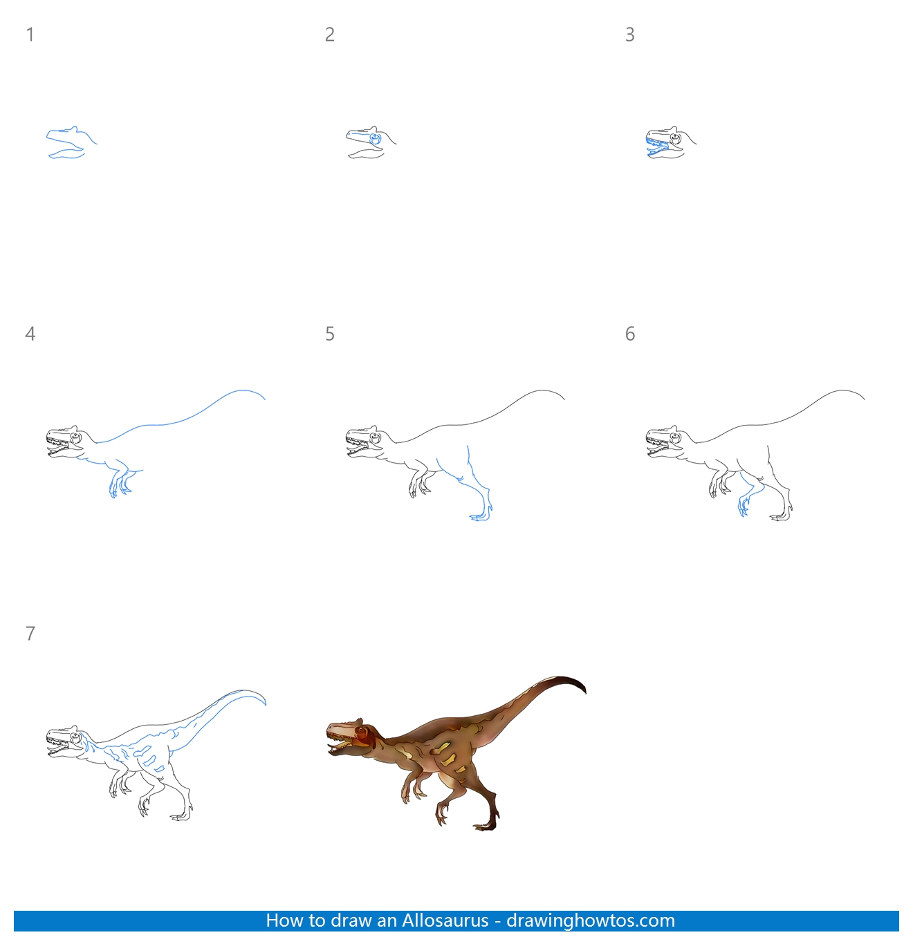 How to Draw an Allosaurus Step by Step