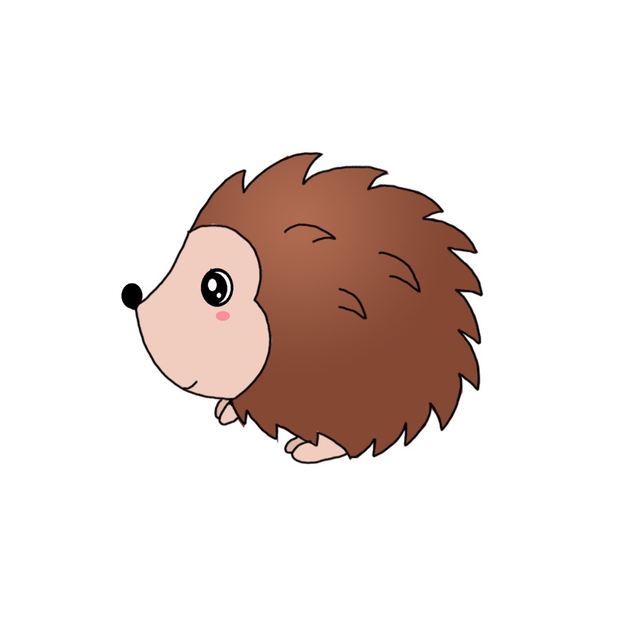 How to Draw a Hedgehog - Step by Step Easy Drawing Guides - Drawing Howtos