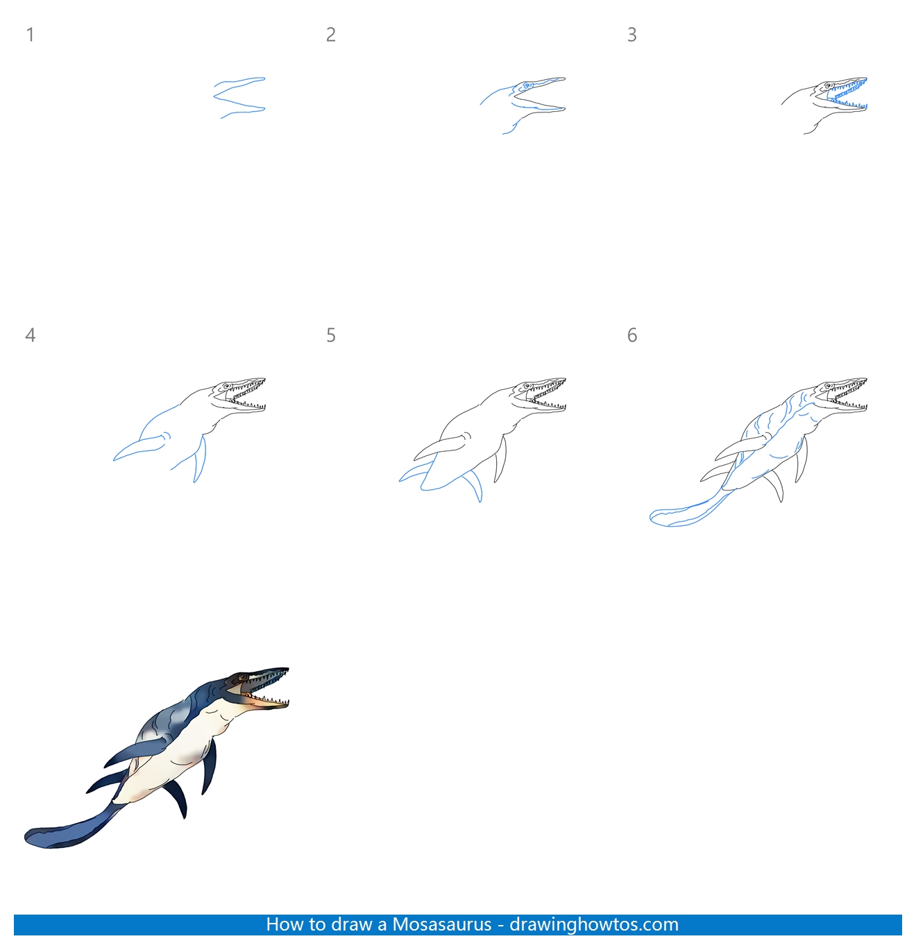 How to Draw a Mosasaurus Step by Step